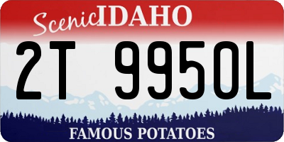 ID license plate 2T9950L