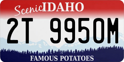 ID license plate 2T9950M