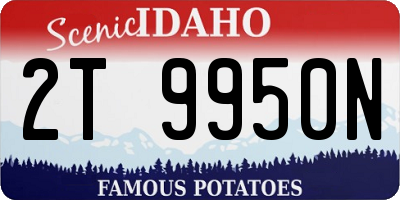 ID license plate 2T9950N