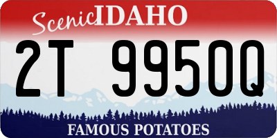 ID license plate 2T9950Q