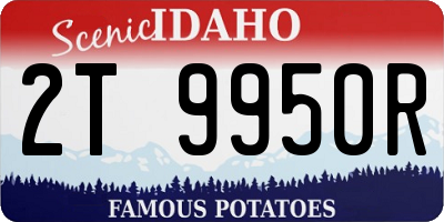 ID license plate 2T9950R