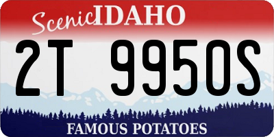 ID license plate 2T9950S