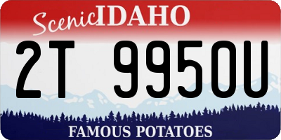 ID license plate 2T9950U