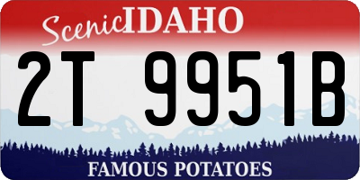 ID license plate 2T9951B