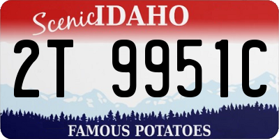 ID license plate 2T9951C