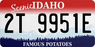 ID license plate 2T9951E