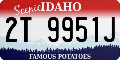 ID license plate 2T9951J