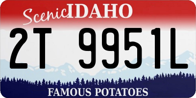 ID license plate 2T9951L