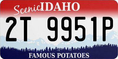 ID license plate 2T9951P