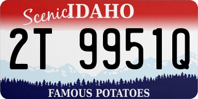 ID license plate 2T9951Q