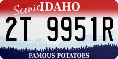 ID license plate 2T9951R