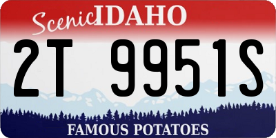 ID license plate 2T9951S