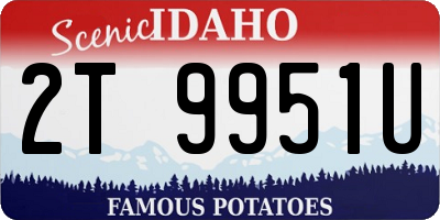 ID license plate 2T9951U