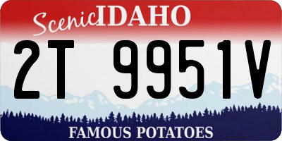 ID license plate 2T9951V