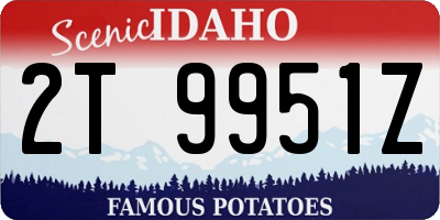 ID license plate 2T9951Z