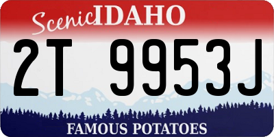 ID license plate 2T9953J