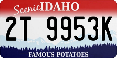 ID license plate 2T9953K