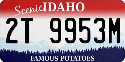 ID license plate 2T9953M