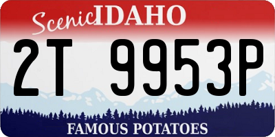 ID license plate 2T9953P