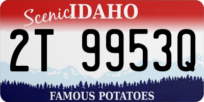 ID license plate 2T9953Q
