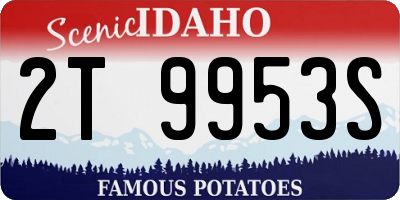 ID license plate 2T9953S