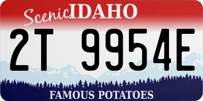 ID license plate 2T9954E