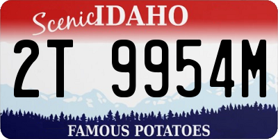 ID license plate 2T9954M