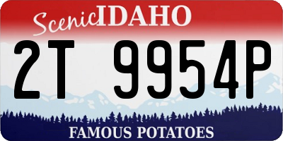 ID license plate 2T9954P