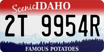 ID license plate 2T9954R