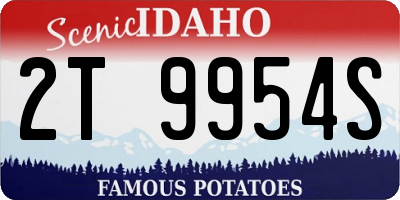 ID license plate 2T9954S