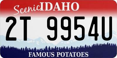 ID license plate 2T9954U