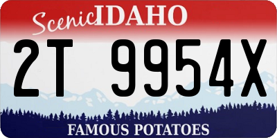 ID license plate 2T9954X