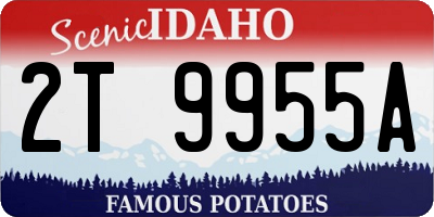 ID license plate 2T9955A