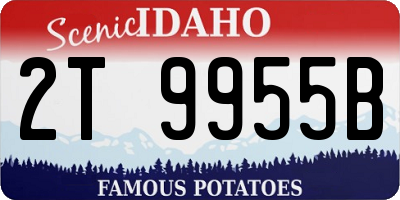 ID license plate 2T9955B