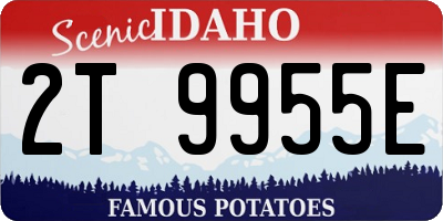 ID license plate 2T9955E