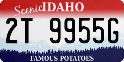ID license plate 2T9955G