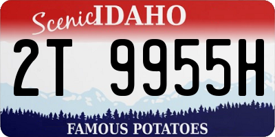 ID license plate 2T9955H
