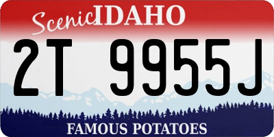 ID license plate 2T9955J