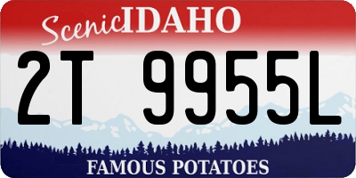 ID license plate 2T9955L