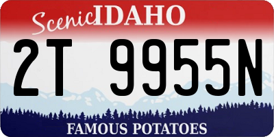 ID license plate 2T9955N