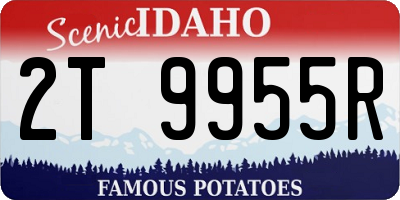 ID license plate 2T9955R