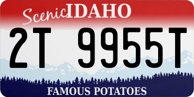 ID license plate 2T9955T