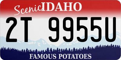 ID license plate 2T9955U