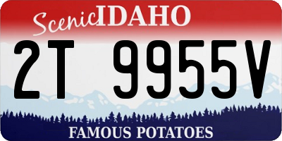 ID license plate 2T9955V