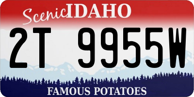 ID license plate 2T9955W