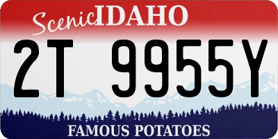 ID license plate 2T9955Y