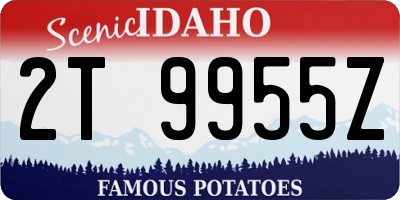 ID license plate 2T9955Z