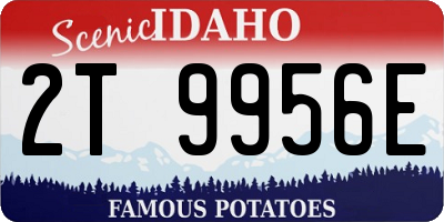 ID license plate 2T9956E