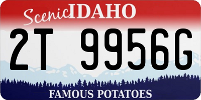 ID license plate 2T9956G