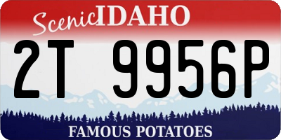 ID license plate 2T9956P